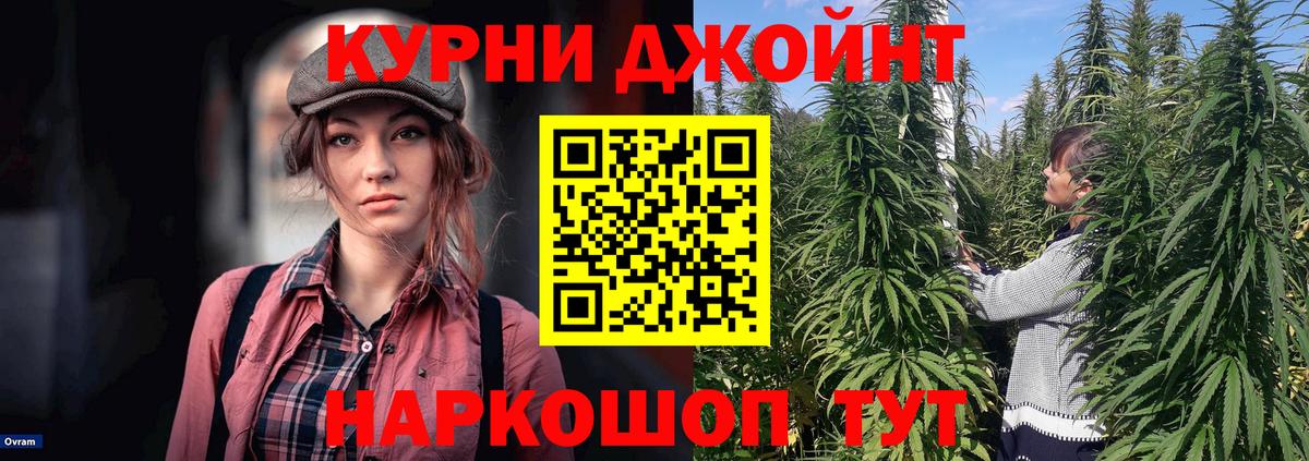 Конопля марихуана Гай
